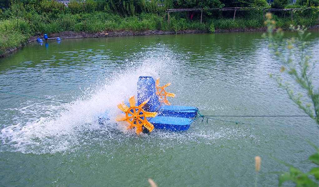 2 impellers paddle wheel aerator