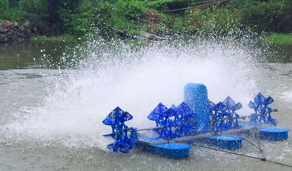 2HP 4 IMPELLER HIGH SPEED EFFICIENCY PADDLE WHEEL AERATOR